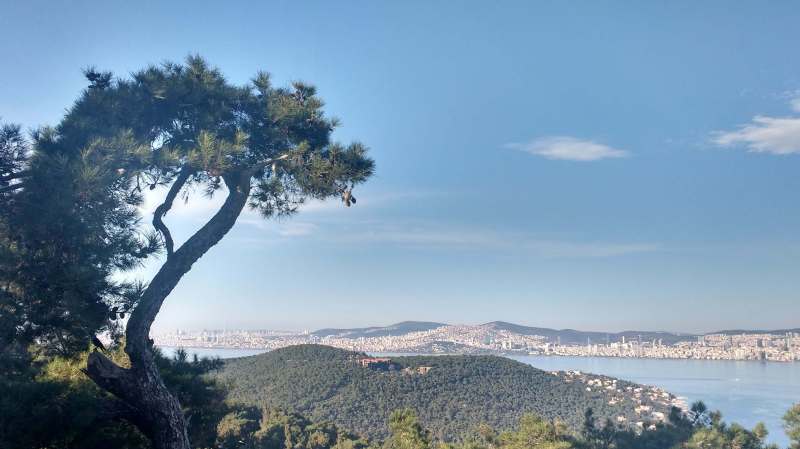 View towards istanbul from the island of buyukada